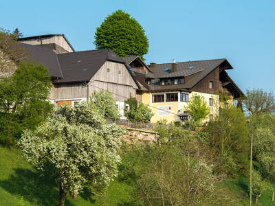 Bild 2 aus  Ferienhof Schneiderweg