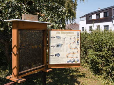 Bild 23 aus  Ferienwohnung Engel