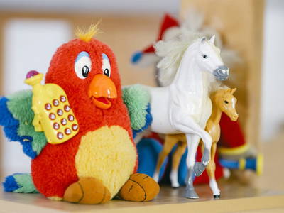 Bild 355 aus  Pimperlhof