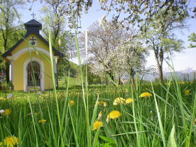 Bild 26 aus  Traunsee - Chalet am Götschhof