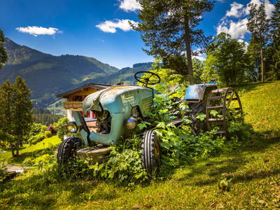 Bild 110 aus  Zauchtalerhof