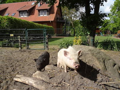 Bild 12 aus  Ramakers Hof