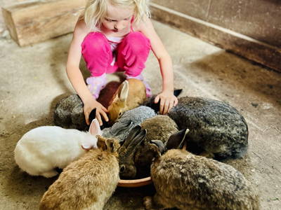 Bild 17 aus  Ostseebauernhof