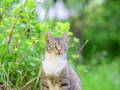 Bild 68 aus  Landhaus Sofie