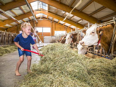Bild 2 aus  Familienzeit am Motzenhof