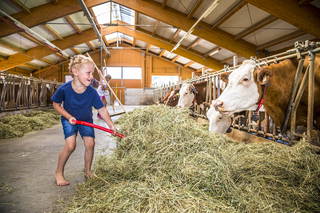 Familienzeit am Motzenhof aus Adnet
