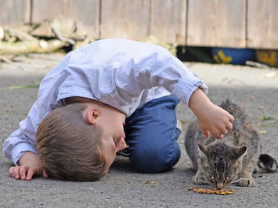 Bild 57 aus  am Jaukhof Fam. Stiendl