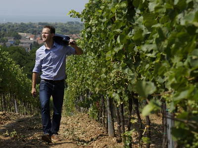 Bild 3 aus  Pension Hareter