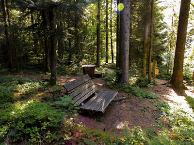 Bild 17 aus  Haus Adlerhorst