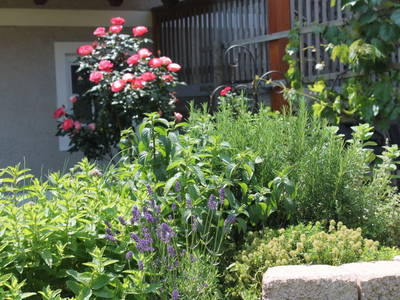 Bild 59 aus  Brandl Obstbauernhof 