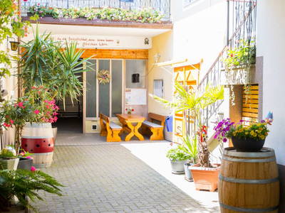 Bild 3 aus  Winzerhof Richter