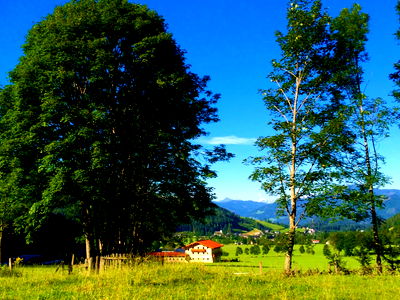 Bild 68 aus Alpen Appartements Oberlehengut HIDEAWAY