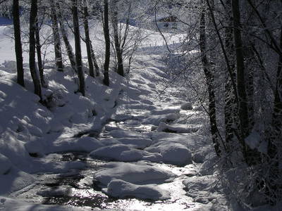 Bild 82 aus  Weitgasserhof