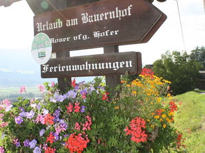 Bild 48 aus  Hoferhof