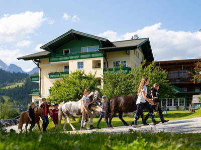 Bild 2 aus  Martinerhof