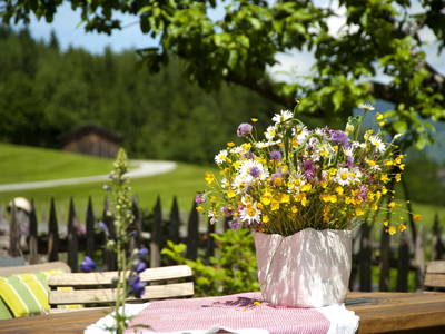 Bild 7 aus  Schloif Troadkastn