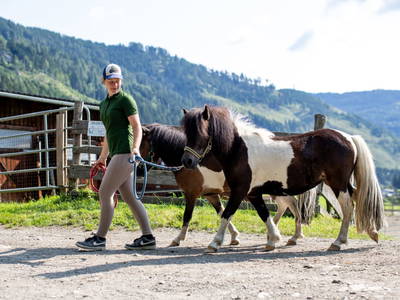 Bild 51 aus  Olachgut