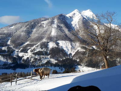 Bild 49 aus  Bruderhof