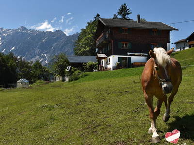 Bild 25 aus  Familienbetrieb Maier