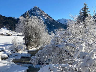 Bild 109 aus  Ferienbauernhof Kohler
