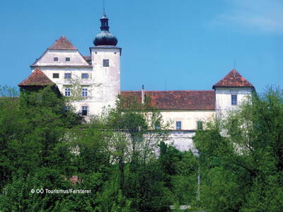 Bild 47 aus  Waldbothgut