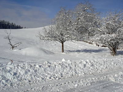 Winterzauber in Nordhessen