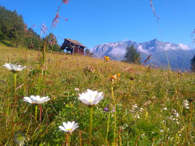 Bild 85 aus Riatschhof
