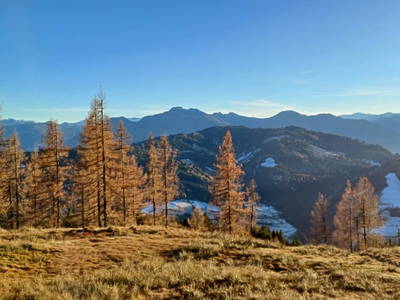 Bild 151 aus  Almhütte Brandgut