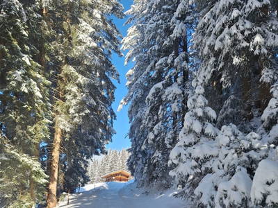 Bild 54 aus  Prädasten - Chalet