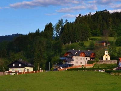 Bild 192 aus  Ferienwohnungen Perhofer