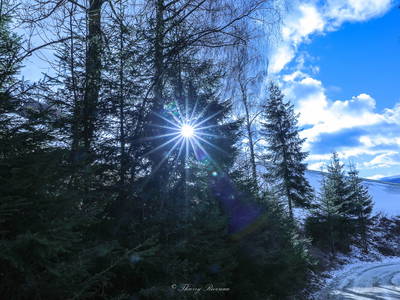 Bild 32 aus  Bergbauernhof Rami 