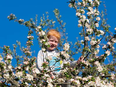 Bild 12 aus  Zaißlhäusl Hof inkl. Chiemgau-Karte ab 1.5.2026