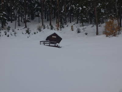 Bild 116 aus  Bauernhof Wachtlerhof