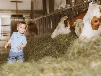 Bild 14 aus  Knappenhof