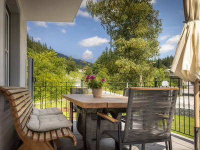 Bild 12 aus  Höllhof