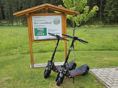 Bild 73 aus Ferienhaus Buxbaum