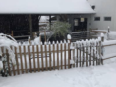 Bild 20 aus  Hof zum Kleinod