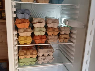 Bild 121 aus  Honzarhof