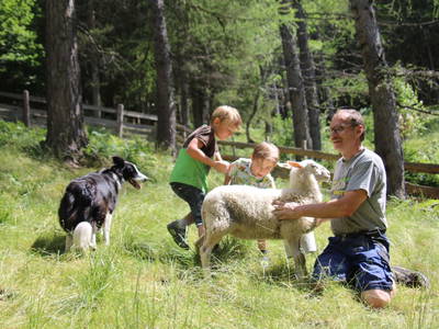 Bild 6 aus  Ferienwohnung Steinacher