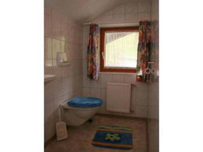 Bild 18 aus  Traglehen