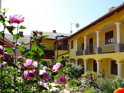 Bild 2 aus  Weingut-Gästehaus zum Schwalbennest