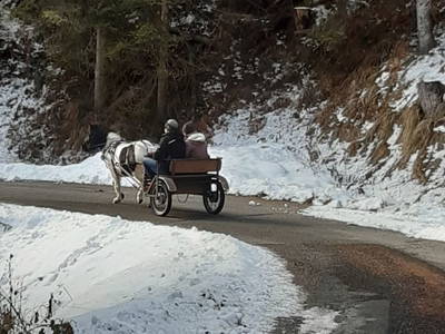 Bild 76 aus  Hauserhof am Goldberg