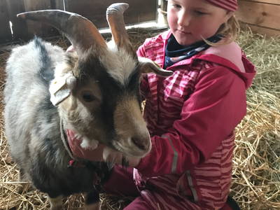 Bild 40 aus  Ferienhof Schlünzen