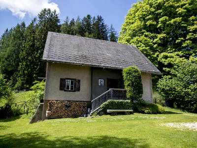 Bild 26 aus  Roatmoaralm