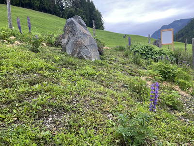 Bild 11 aus Vorderbichlhof