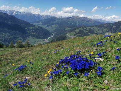 Bild 158 aus  Naturerlebnis Lärchenhof