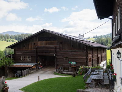 Bild 142 aus  Göttfriedbauer