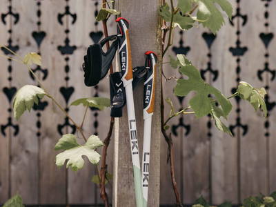 Bild 67 aus  Refugien Am WILDBACHBERG