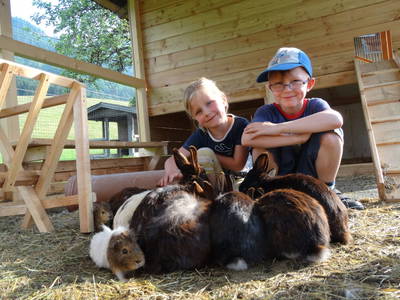 Bild 65 aus  Taxengut