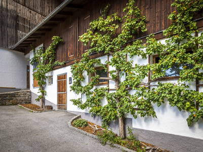 Bild 162 aus  Bio-Bauernhof Schweizerhof